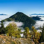 Wulfeniahütte - Dolinza Alm Apartamento Vorderberg