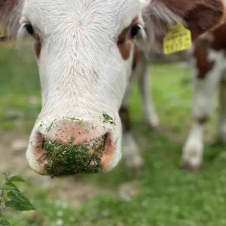 דירה Wulfeniahuette - Dolinza Alm *