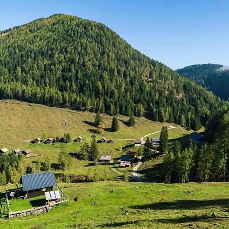 Wulfeniahuette - Dolinza Alm