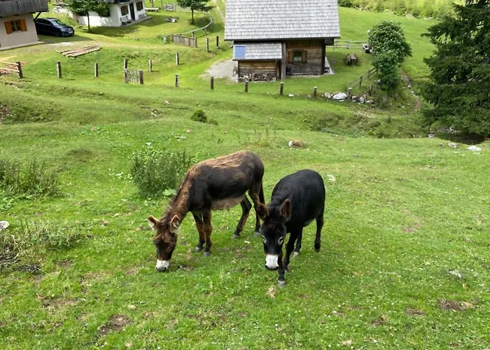 Wulfeniahuette - Dolinza Alm דירה Vorderberg