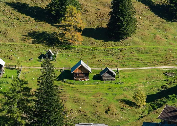 Apartment Wulfeniahuette - Dolinza Alm Vorderberg
