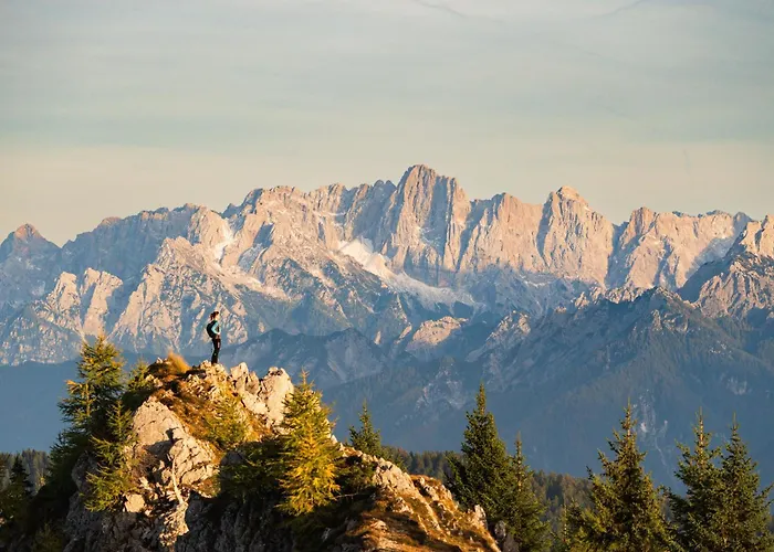 Wulfeniahuette - Dolinza Alm Apartament *