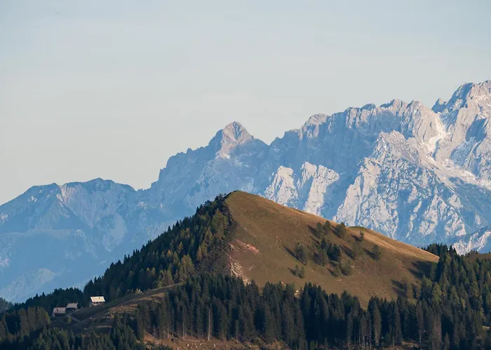 Apartament Wulfeniahuette - Dolinza Alm